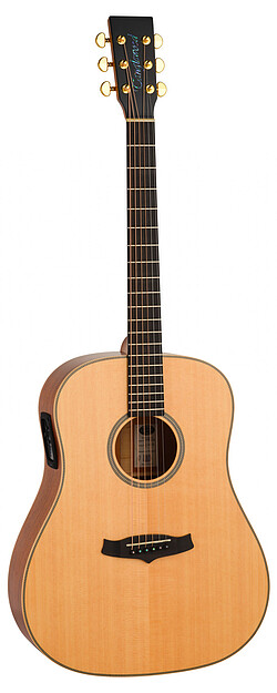 Tanglewood TGB5SE Great Britain Dreadn.  