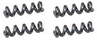 AP BP 2230-​000 Tremolo Arm Federn (4)  