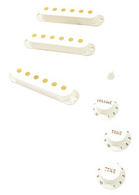 Fender® PV 60´s Strat® Accessory Kit vw  
