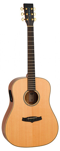 Tanglewood TGB5SE Great Britain Dreadn.  